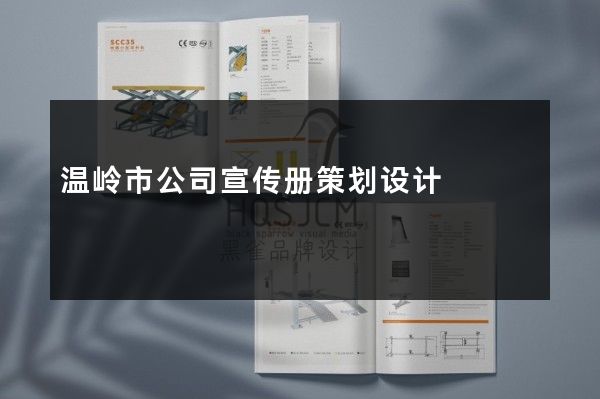 温岭市公司宣传册策划设计
