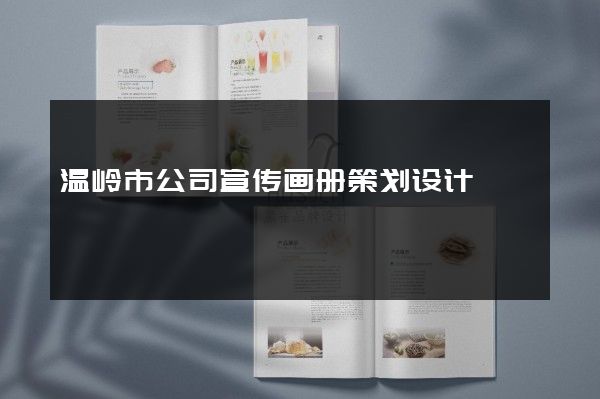 温岭市公司宣传画册策划设计