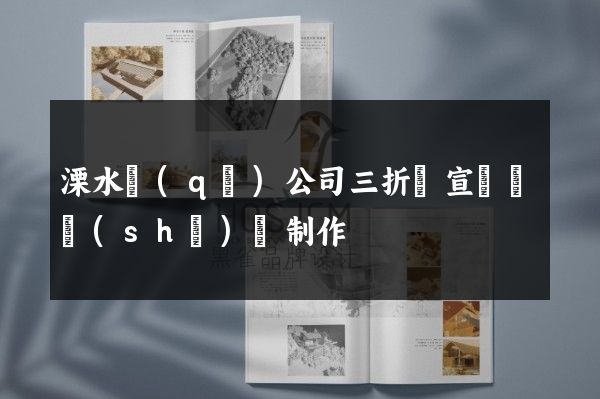 溧水區(qū)公司三折頁宣傳頁設(shè)計制作
