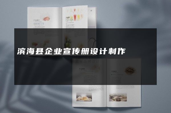 滨海县企业宣传册设计制作