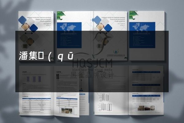 潘集區(qū)產(chǎn)品宣傳畫(huà)冊(cè)設(shè)計(jì)制作