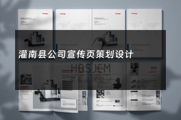 灌南县公司宣传页策划设计