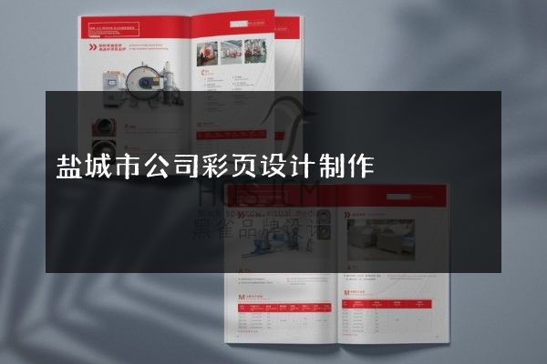 盐城市公司彩页设计制作
