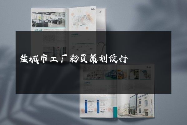 盐城市工厂彩页策划设计