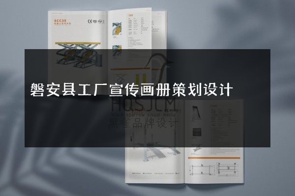 磐安县工厂宣传画册策划设计