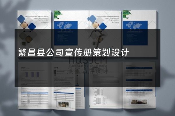 繁昌县公司宣传册策划设计