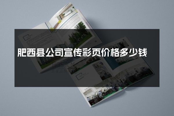 肥西县公司宣传彩页价格多少钱