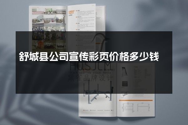 舒城县公司宣传彩页价格多少钱