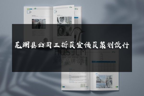 芜湖县公司三折页宣传页策划设计