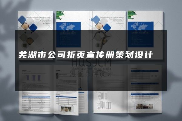 芜湖市公司折页宣传册策划设计