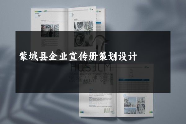 蒙城县企业宣传册策划设计