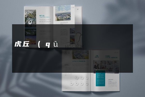 虎丘區(qū)公司宣傳畫冊策劃設(shè)計