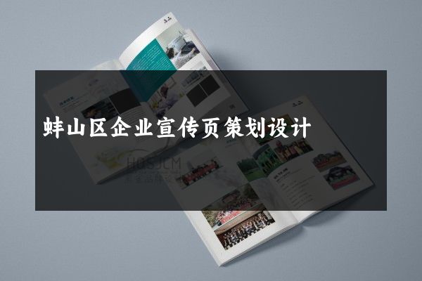 蚌山区企业宣传页策划设计