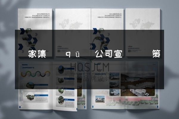 謝家集區(qū)公司宣傳畫冊策劃設計