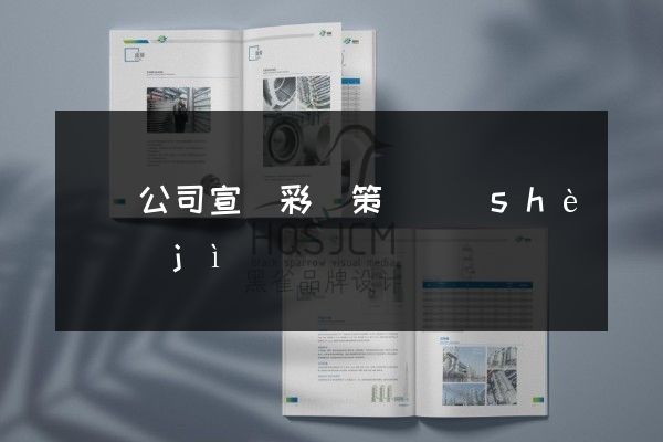 豐縣公司宣傳彩頁策劃設(shè)計(jì)