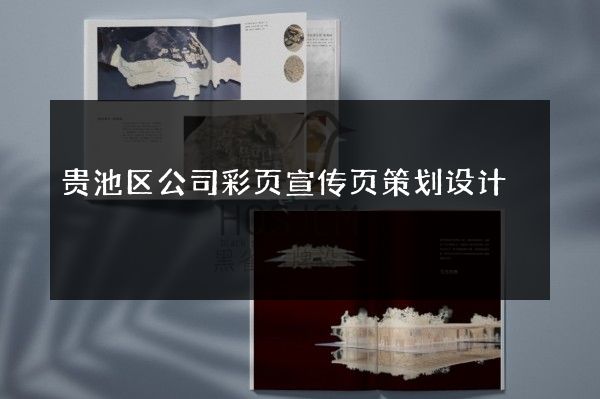 贵池区公司彩页宣传页策划设计
