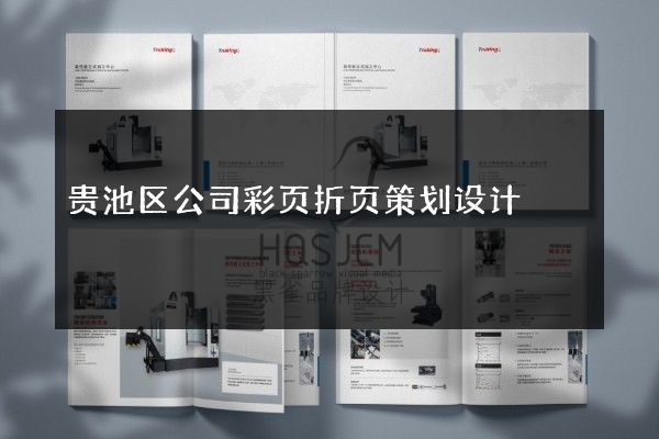 贵池区公司彩页折页策划设计