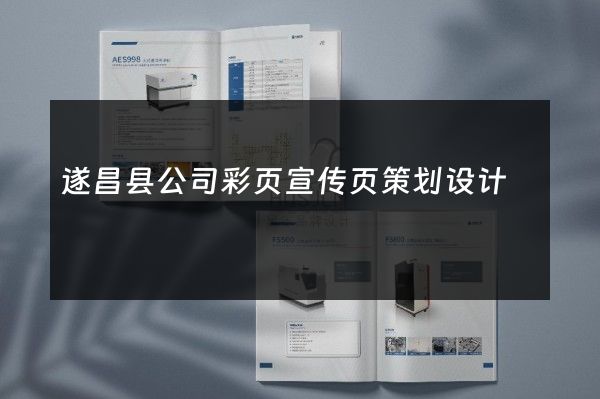 遂昌县公司彩页宣传页策划设计