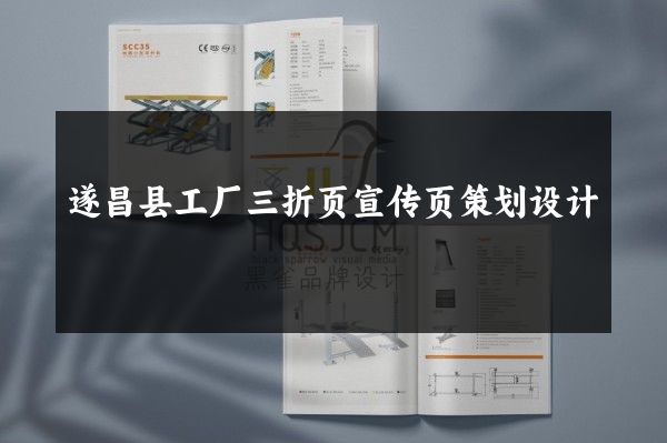 遂昌县工厂三折页宣传页策划设计