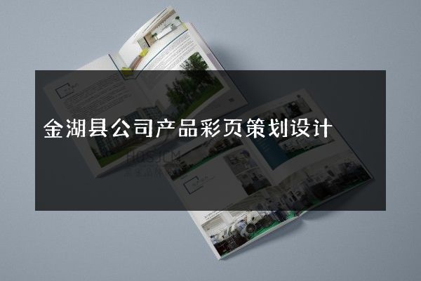 金湖县公司产品彩页策划设计