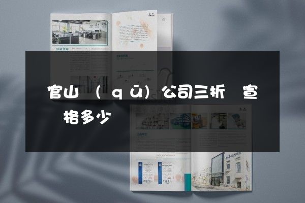 銅官山區(qū)公司三折頁宣傳頁價格多少錢