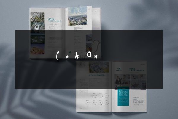 長興縣產(chǎn)品彩頁策劃設(shè)計(jì)