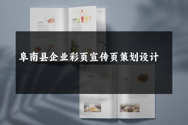 阜南县企业彩页宣传页策划设计