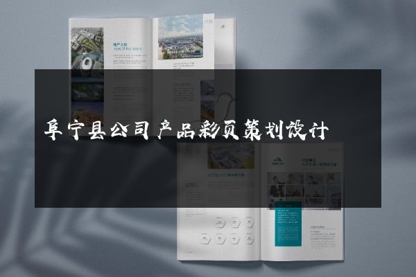 阜宁县公司产品彩页策划设计