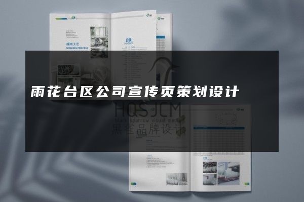 雨花台区公司宣传页策划设计