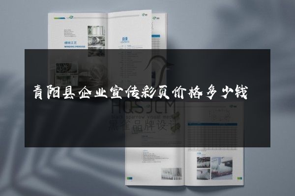 青阳县企业宣传彩页价格多少钱