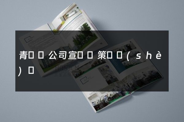 青陽縣公司宣傳頁策劃設(shè)計