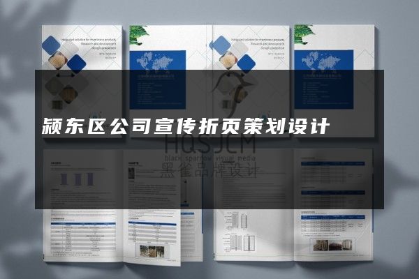 颍东区公司宣传折页策划设计