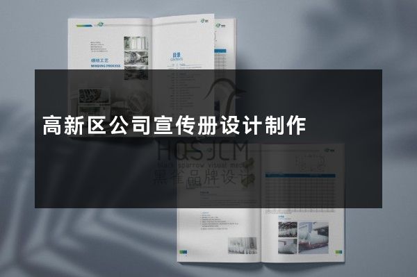 高新区公司宣传册设计制作