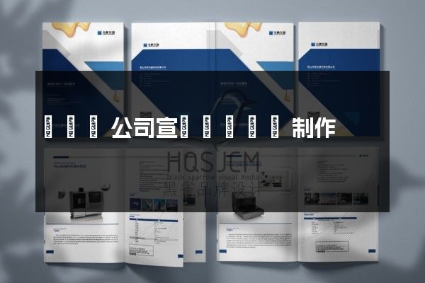 鳳臺縣公司宣傳畫冊設計制作