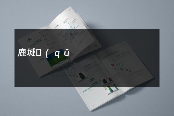 鹿城區(qū)公司產(chǎn)品樣本策劃設(shè)計(jì)