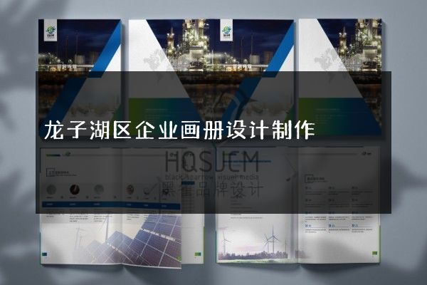 龙子湖区企业画册设计制作