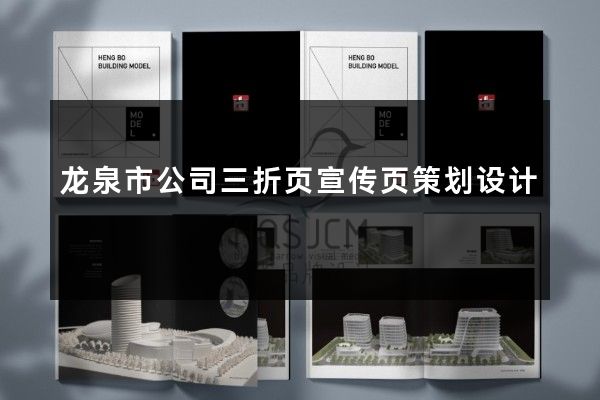 龙泉市公司三折页宣传页策划设计