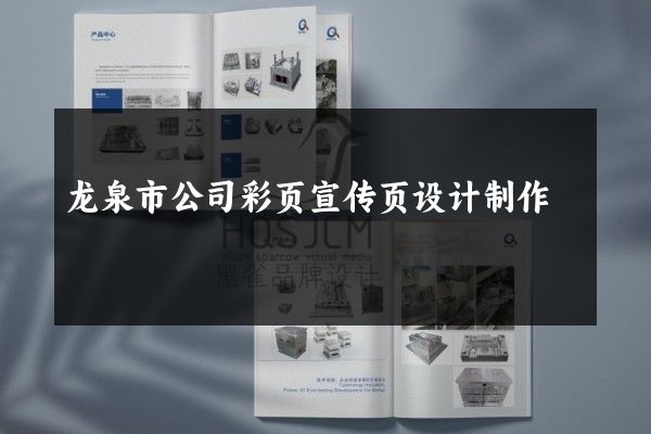 龙泉市公司彩页宣传页设计制作