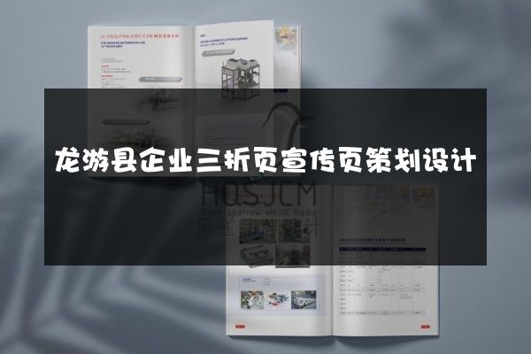 龙游县企业三折页宣传页策划设计