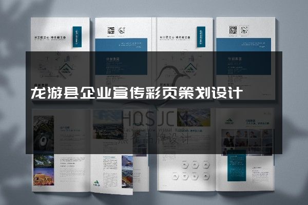 龙游县企业宣传彩页策划设计