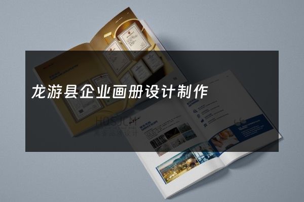龙游县企业画册设计制作